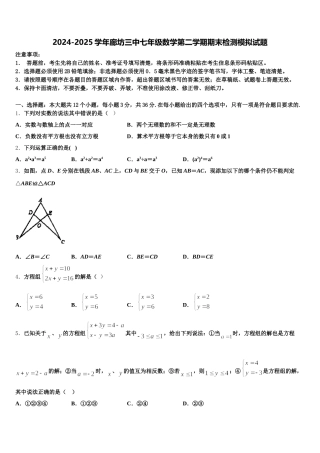2024-2025学年廊坊三中七年级数学第二学期期末检测模拟试题含解析