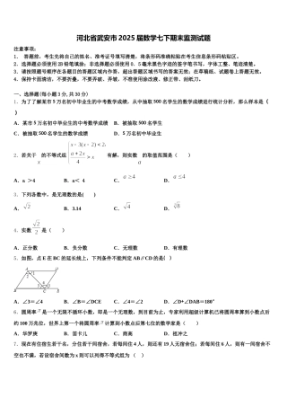 河北省武安市2025届数学七下期末监测试题含解析
