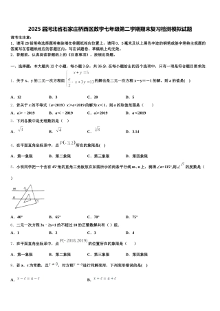 2025届河北省石家庄桥西区数学七年级第二学期期末复习检测模拟试题含解析