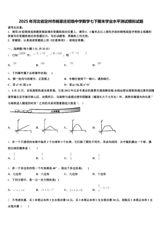 2025年河北省定州市杨家庄初级中学数学七下期末学业水平测试模拟试题含解析