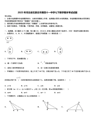 2025年河北省石家庄市第四十一中学七下数学期末考试试题含解析