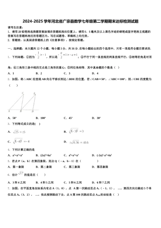 2024-2025学年河北省广宗县数学七年级第二学期期末达标检测试题含解析