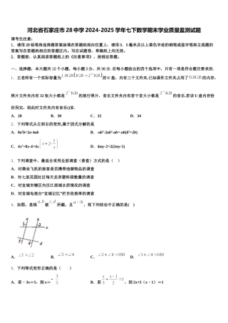 河北省石家庄市28中学2024-2025学年七下数学期末学业质量监测试题含解析