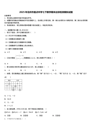 2025年沧州市重点中学七下数学期末达标检测模拟试题含解析