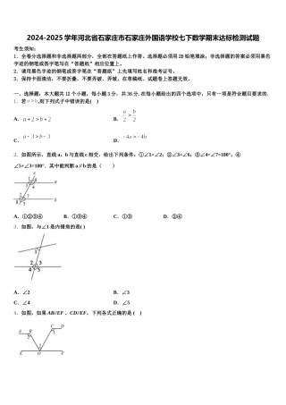 2024-2025学年河北省石家庄市石家庄外国语学校七下数学期末达标检测试题含解析