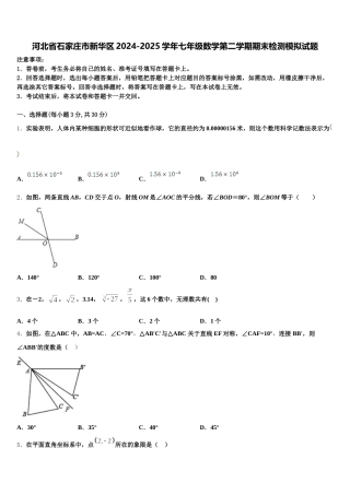 河北省石家庄市新华区2024-2025学年七年级数学第二学期期末检测模拟试题含解析