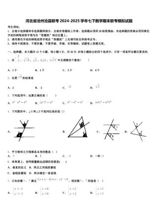 河北省沧州沧县联考2024-2025学年七下数学期末联考模拟试题含解析