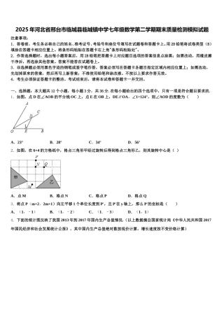 2025年河北省邢台市临城县临城镇中学七年级数学第二学期期末质量检测模拟试题含解析