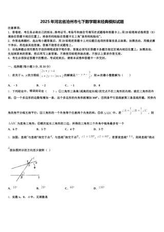 2025年河北省沧州市七下数学期末经典模拟试题含解析