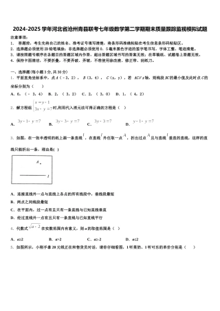2024-2025学年河北省沧州青县联考七年级数学第二学期期末质量跟踪监视模拟试题含解析