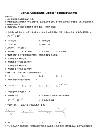 2025年石家庄市裕华区40中学七下数学期末监测试题含解析
