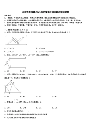 河北省枣强县2025年数学七下期末监测模拟试题含解析