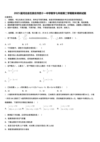 2025届河北省石家庄市四十一中学数学七年级第二学期期末调研试题含解析