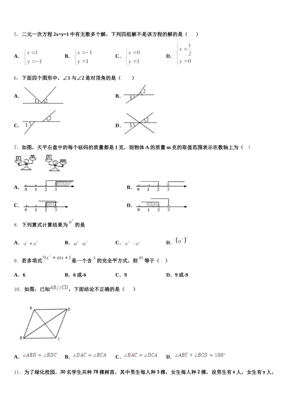 2024-2025学年河北省石家庄市桥西区部分学校七年级数学第二学期期末经典试题含解析_第2页
