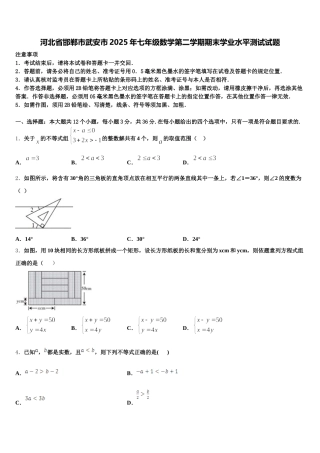 河北省邯郸市武安市2025年七年级数学第二学期期末学业水平测试试题含解析