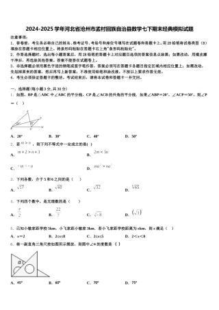 2024-2025学年河北省沧州市孟村回族自治县数学七下期末经典模拟试题含解析