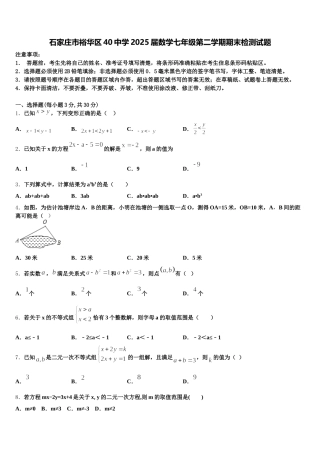 石家庄市裕华区40中学2025届数学七年级第二学期期末检测试题含解析