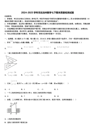 2024-2025学年河北沧州数学七下期末质量检测试题含解析