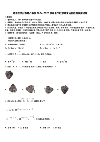 河北省邢台市第八中学2024-2025学年七下数学期末达标检测模拟试题含解析