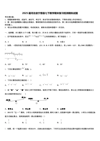 2025届河北省宁晋县七下数学期末复习检测模拟试题含解析
