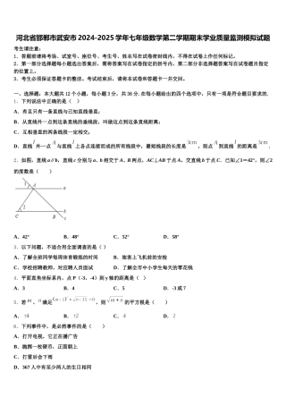 河北省邯郸市武安市2024-2025学年七年级数学第二学期期末学业质量监测模拟试题含解析