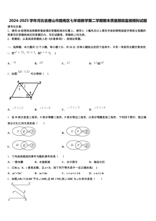 2024-2025学年河北省唐山市路南区七年级数学第二学期期末质量跟踪监视模拟试题含解析