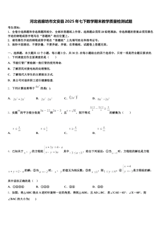 河北省廊坊市文安县2025年七下数学期末教学质量检测试题含解析
