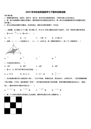 2025年河北省景县数学七下期末经典试题含解析