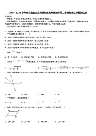 2024-2025学年河北省石家庄市藁城区七年级数学第二学期期末达标检测试题含解析