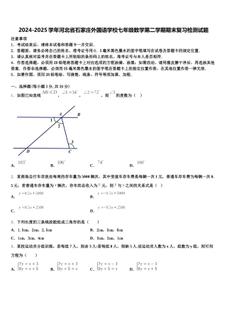 2024-2025学年河北省石家庄外国语学校七年级数学第二学期期末复习检测试题含解析