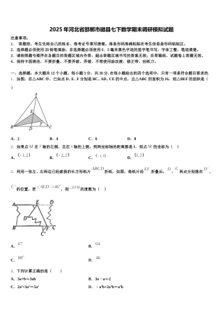 2025年河北省邯郸市磁县七下数学期末调研模拟试题含解析