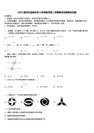 2025届河北省霸州市七年级数学第二学期期末经典模拟试题含解析