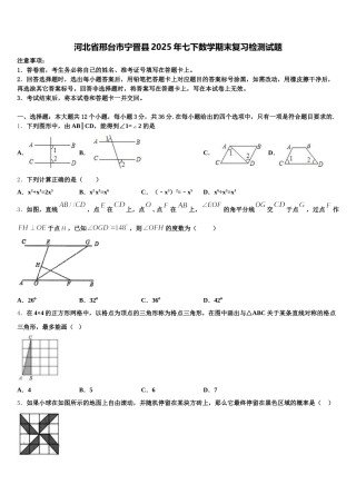 河北省邢台市宁晋县2025年七下数学期末复习检测试题含解析