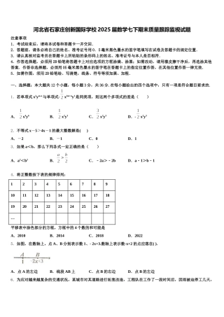 河北省石家庄创新国际学校2025届数学七下期末质量跟踪监视试题含解析