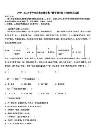2024-2025学年河北省枣强县七下数学期末复习检测模拟试题含解析