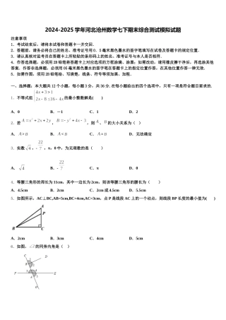2024-2025学年河北沧州数学七下期末综合测试模拟试题含解析