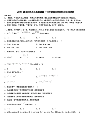 2025届河南省许昌市襄城县七下数学期末质量检测模拟试题含解析