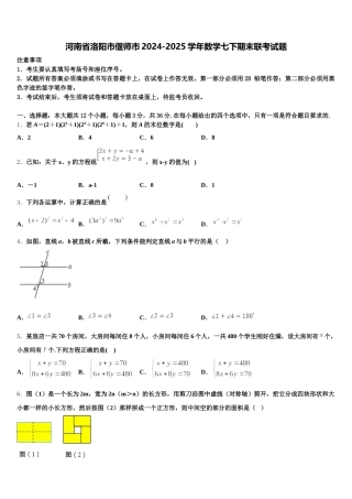 河南省洛阳市偃师市2024-2025学年数学七下期末联考试题含解析