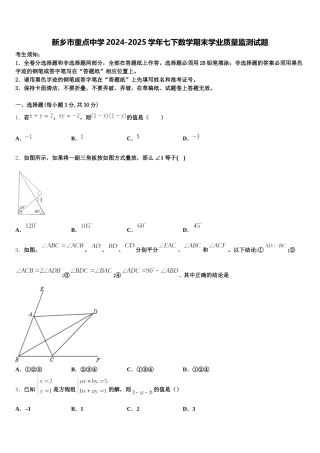 新乡市重点中学2024-2025学年七下数学期末学业质量监测试题含解析