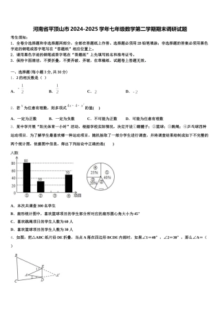 河南省平顶山市2024-2025学年七年级数学第二学期期末调研试题含解析