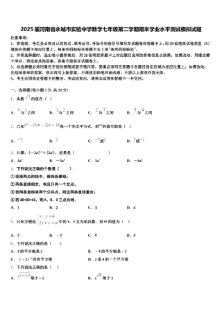 2025届河南省永城市实验中学数学七年级第二学期期末学业水平测试模拟试题含解析