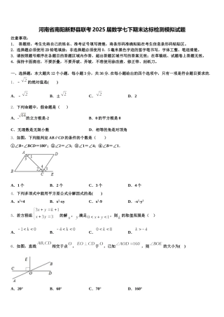河南省南阳新野县联考2025届数学七下期末达标检测模拟试题含解析