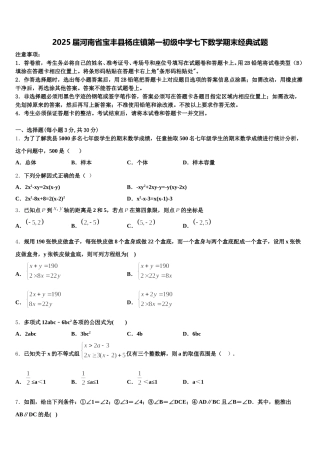 2025届河南省宝丰县杨庄镇第一初级中学七下数学期末经典试题含解析