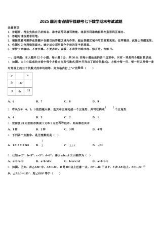 2025届河南省镇平县联考七下数学期末考试试题含解析