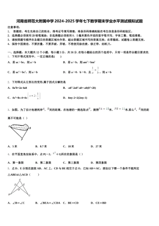 河南省师范大附属中学2024-2025学年七下数学期末学业水平测试模拟试题含解析