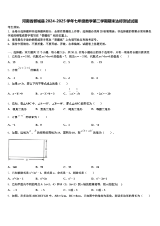 河南省郸城县2024-2025学年七年级数学第二学期期末达标测试试题含解析