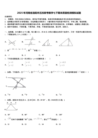 2025年河南省洛阳市五校联考数学七下期末质量检测模拟试题含解析