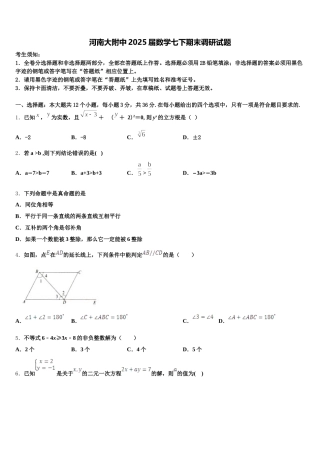 河南大附中2025届数学七下期末调研试题含解析
