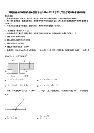 河南省郑州市郑州枫杨外国语学校2024-2025学年七下数学期末联考模拟试题含解析