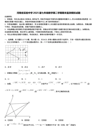 河南省实验中学2025届七年级数学第二学期期末监测模拟试题含解析